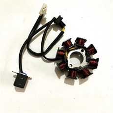 오토바이 QS110 A/C 저전압 점화 코일 마그네토 고정자, 02 QS110