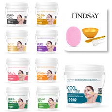 린제이 프리미엄 모델링팩 820g & 팩도구 4종 세트, 티트리, 1개, 1개입