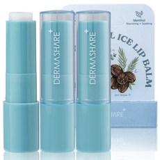 더마쉐어 비건 멘톨 아이스 립밤, 3.7g, 2개