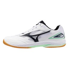 Mizuno 美津濃 乒冠體育 WAVE DRIVE 9 桌球鞋