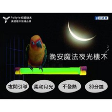金瑞成鳥園 晚安魔法夜光棲木/美國帕麗/引導鳥寶回巢睡覺/適合中小與中大型鸚鵡, 1個, 大尺寸