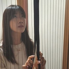 탈착방충망 방충망 모기장 스트라이프 블랙 현관, 단품, 단일상품0