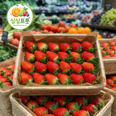 [새벽수확직송] 설향 딸기 고당도 생딸기 프리미엄 논산 산지직송, 1세트, (특과) 500g x 2Pack