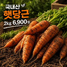 [대한민국 최저가] 국내산 제주 햇당근 흙당근, 1박스, 2kg (중)