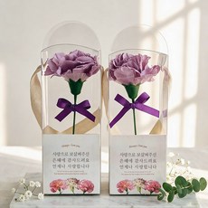 비누꽃 한 송이 카네이션 2종 세트, 퍼플, 1개