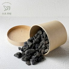 레이아웃 화산석 미니 (약 300g), 1개