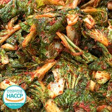 [베셀코] 진도 해남 완도 국내산 제철 봄동 겉절이 해썹 전라도식겉절이, 1개, 1kg