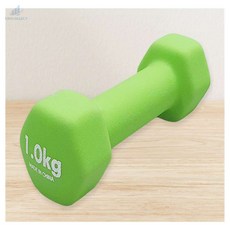 이알엠셀렉트 아령 1kg 육각덤벨