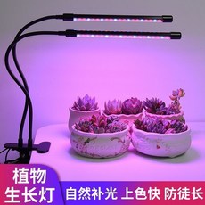 仿太陽植物生長燈 室內多肉補光燈 全光譜光合作用led微景觀日照燈, USB接口【配原裝USB插頭】,5頭【全光譜50W+可定時可調光】