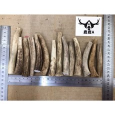 鹿鹿A 歐洲頂級鹿角潔牙骨 單隻 加大 耐咬 無尖角 狗狗寵物潔牙骨, 1個, 1L, 加大<出單隻>