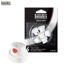 리퀴텍스 전문가용 아크릴 스프레이 페인트 노즐팩 FAT CAP 1팩6개입, LX4459238
