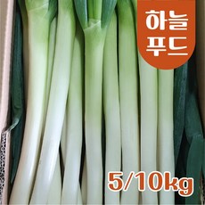 (5kg/Box) 수입 대파 깐대파 손질대파 식자재 신선대파[원산지:중국], 1box 상품 신선대파