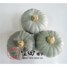 【野菜部屋】銀華小南瓜種子 (K26) 果肉深黃色 粉質肉質甜, 1包