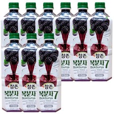 복분자원액 (참존 835ml) X 12, 9개, 835ml