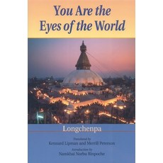 (영문도서) You Are the Eyes of the World Paperback, Snow Lion Publications, English, 9781559393676