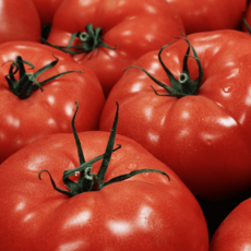 [한정특가] 탱글탱글 새콤달콤 정품 완숙토마토, 1박스, 소과 1kg