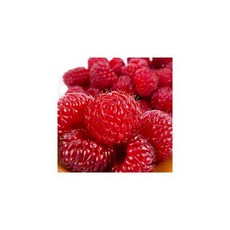 국내산 급냉산딸기 500g x 1팩, 1개