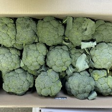 아삭아삭 미소진 제주 브로콜리, 1박스, 1kg