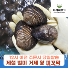 거제 왕 피꼬막 산지직송 당일조업 대왕 횟감 꼬막 비빔밥 초밥 무침, 1박스, 왕 피꼬막 8kg(135미내외)