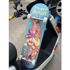 dbh 專業雙翹滑板 適合初學、街刷、代步 男女通用, 如圖所示, 1個