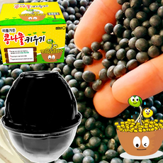 루체트리 재배기 콩나물키우기 키트 가정용콩나물 국내산 채소, 1개