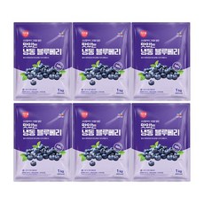 CJ프레시웨이 이츠웰 냉동블루베리, 6개, 1Kg
