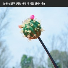 머스코 자동차 선인장모형 안테나 볼 장식용품, 피치핑크 플라워 선인장 2개 안테나볼 포함 B