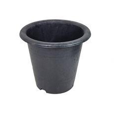 세이프24 원화분 나무화분 원형화분 국화분 꽃화분 블루베리화분, 1개, 기본