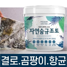 결로방지페인트 자연숨 규조토페인트 5kg 곰팡이방지 벽지 항균 베란다 실내 단열페인트, 01.화이트, 시공도구 선택안함, 1개