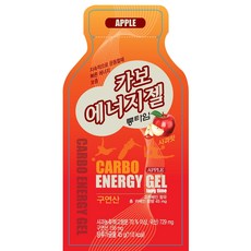 카보에너지젤 4개 마라톤 자전거 그란폰도 철인3종 트레일러닝 에너지젤 파워젤 사과맛, 45g