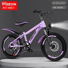 22인치자전거 초등여아자전거 20인치 반조립 인치자전거 두발 로드자전거 경량자전거 추천, 1cm, 보라색-변속-스포크 휠