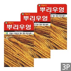 세인화분 뿌리우엉 200립 - 우엉 씨 씨앗