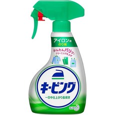 정리 구매 다림질 키핑 핸디 스프레이 400ml ×2세트, 1개, 상세페이지 참조