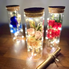 프렌치로즈 시들지않는꽃 LED유리병 편지지 세트, 핑크프리저브드플라워