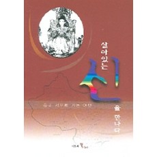 살아있는 신을 만나다(중국 서부로 가는 여행), 시간의물레, 채한종 저