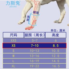 殘疾狗前腿輔助帶, 1個, XS碼包裹腿圍7-10長度8.5釐米,單隻
