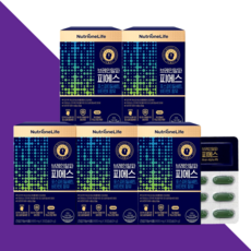 뉴트리원 포스파티딜세린 포스타디딜세린 브레인알파PS 30캡슐X5개, 5개, 30정