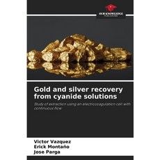 (영문도서)Gold and silver recovery from cyanide solutions Paperback, Our Knowledge Publishing, English, 9786209568572