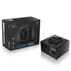 FSP VITA GM 750W 80PLUS Gold ATX 3.1 파워서플라이, VITA-750GM(블랙)