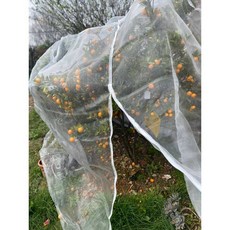 블루베리망 2x2x2m 새 조류 대형방조망 그물망 농작물보호, 2x2(포켓형), 2개