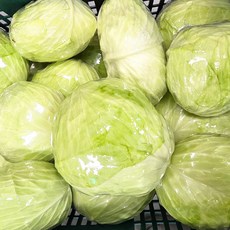 [더리얼파머스] 국산 아삭한 제주 양배추, 1개, 5kg