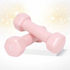 SCS 아이워너 뷰티 육각 덤벨 아령 1kg 2개 홈트 근력 여성 손목 웨이트 덤벨 아령 운동용품