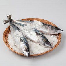 새 국산 간고등어(소) 12마리 1%저염 제철 참고등어, 1.8kg내외(12미), 1개