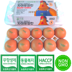 산들프레시 난각번호 1번 자미유정란 <특란>, 1개, 10구