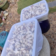 圓形菜罩：晾曬滷味醬缸專用、透氣防塵、可重複使用, 1個