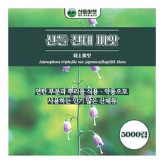 산들마켓 잔대 씨앗 5000립 식용 약용 잔대씨 종자, 1개