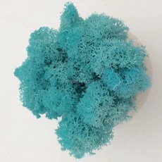 인공 녹색 식물 영원한 생명 DIY 잔디 홈 룸 미니 가짜 50g, 5)10g, tiffany blue