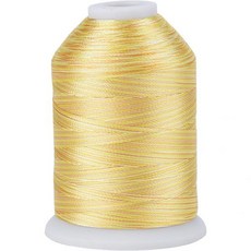 심스레드 다양한 폴리에스터 자수 실 5500야드 5000M 하이야드 40WT 100 고속 정격 브라더 싱어 자놈 및 기타 S116과 호환 가능, S116