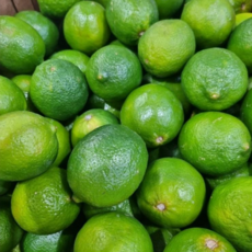 늘푸른뜰 프리미엄 생 라임 중과 대과 신선보장 인기과일 가정간편 10과 50과 200과, 1개, 생라임 200과 18kg내외 중과 1박스