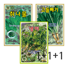 1+1+1 나물씨앗3종세트 취나물 고들빼기 냉이 산나물 종자 씨 봄 가을 파종 작물 나물 씨 민속 약초 채소씨앗, 1개